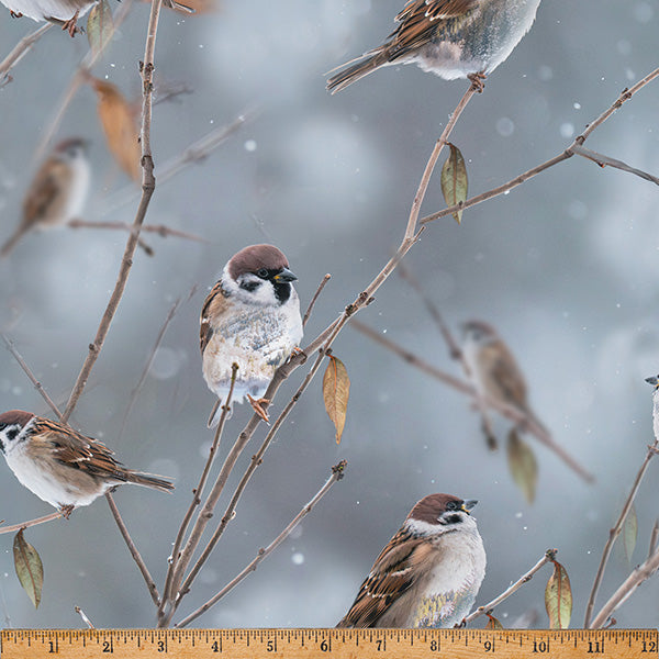 Hoffman Call of the Wild - Sparrow