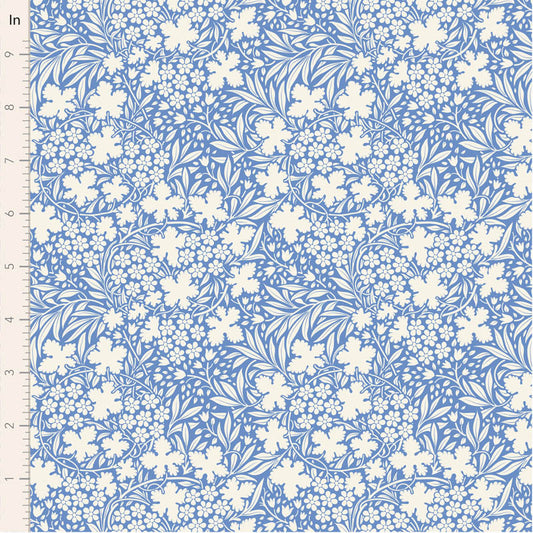 Something Blue Bushbloom - Blue
