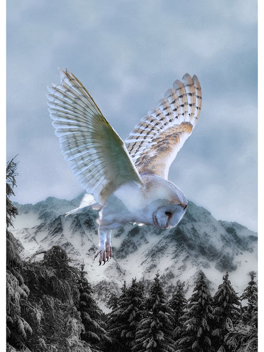 Call of the Wild Owl Panel 31" x 44"