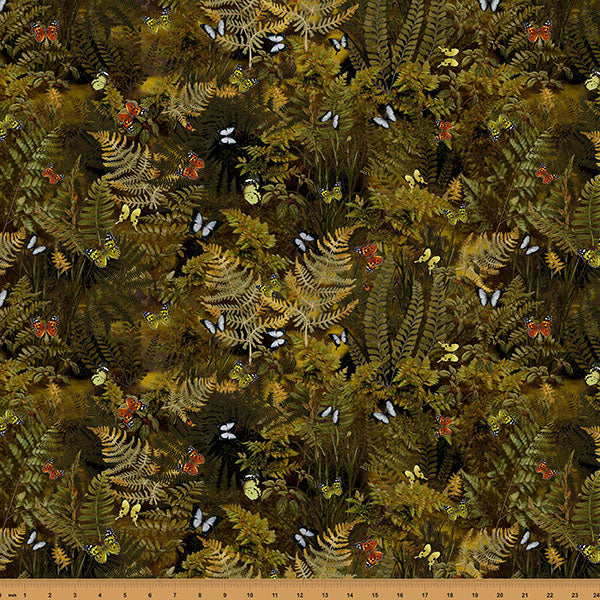 Among the Ferns - Butterfly Fern