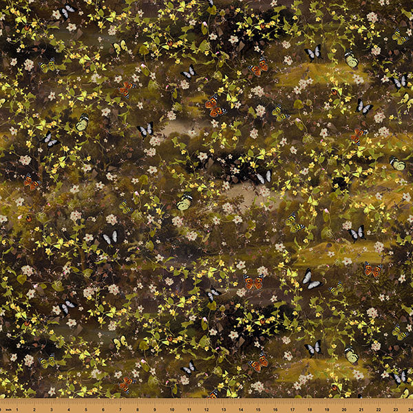 Among the Ferns - Butterfly Fauna