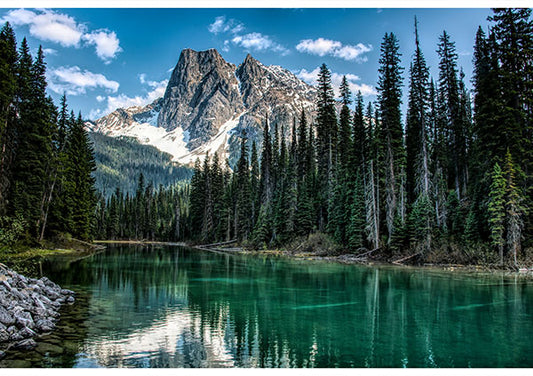 Call of the Wild Landscape Panel 29”x43”