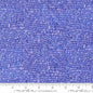 Moda Delphinium Palette - Agapanthus