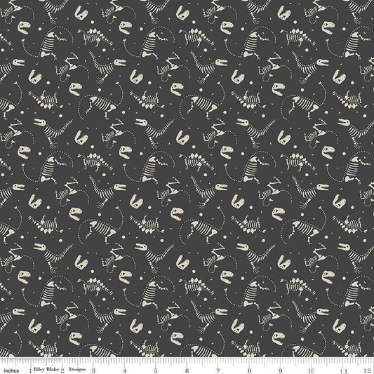 RB - Roar Dino Bones Charcoal