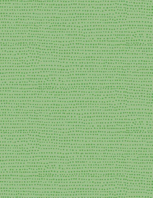 Dear Stella - Moonscape Kiwi